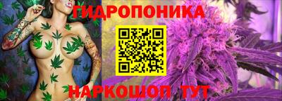 a pvp Краснознаменск