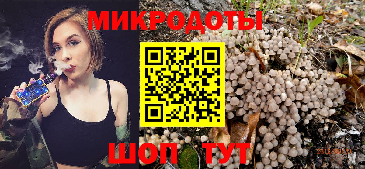 купить  цена  Галлюциногенные грибы Psilocybe  Кашира  Вход с VPN  Псилоцибиновые грибы мицелий 