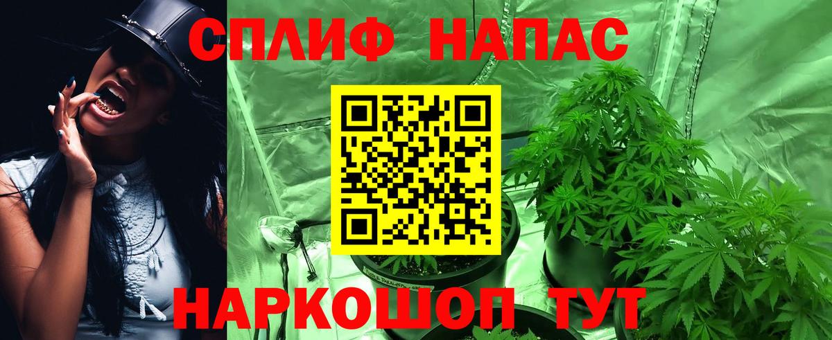 МАРИХУАНА план Кашира